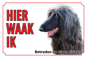 Waakbord Hond Afghaanse windhond