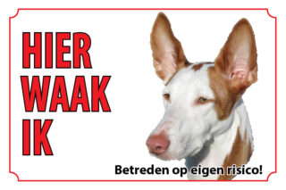 Waakbord Hond Podenco ibicenco