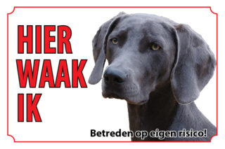 Waakbord Hond Weimarse staande hond