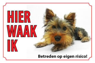 Waakbord Hond Yorkshireterrier
