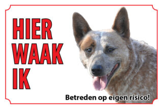 Waakbord Hond Australian cattle dog Australische veedrijvershond