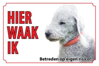 Waakbord Hond Bedlingtonterrier