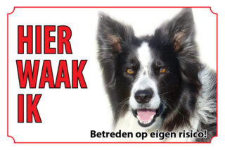 Waakbord Hond Bordercollie