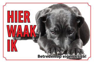 Waakbord Hond Cane corso