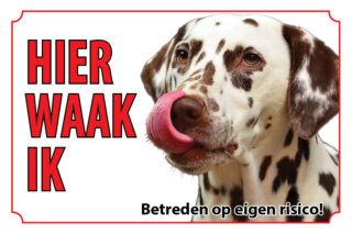 Waakbord Hond Dalmatische hond Dalmatier bruin