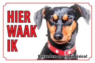 Waakbord Hond Duitse pinscher