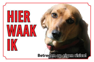 Waakbord Hond Foxhound