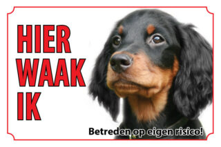 Waakbord Hond Gordon setter