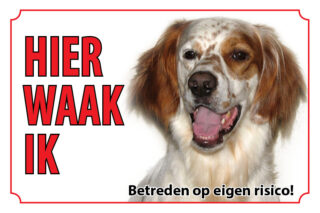 Waakbord Hond Ierse rode setter