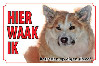 Waakbord Hond Ijslandse hond