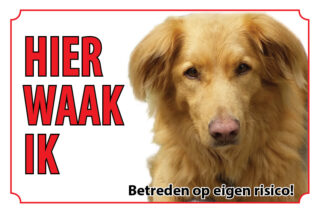 Waakbord Hond Nova Scotia duck tolling retriever Toller