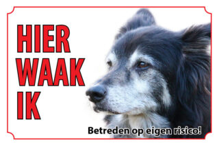 Waakbord Hond Old English Sheepdog bobtail