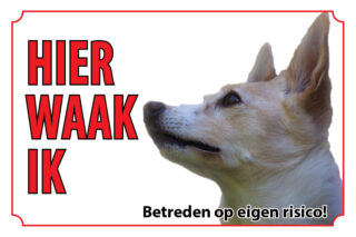 Waakbord Hond Podenco Canario