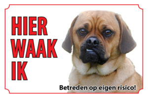 Waakbord Hond Puggle