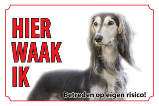 Waakbord Hond Saluki