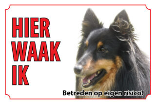 Waakbord Hond Shetlandsheepdog