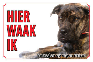Waakbord Hond Tibetaanse mastiff Do khyi
