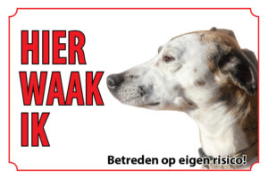 Waakbord Hond Whippet
