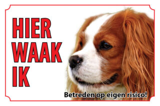 Waakbord Hond Cavalier King Charles Spaniel