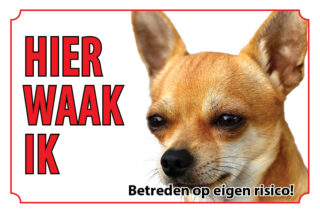 Waakbord Hond Chihuahua