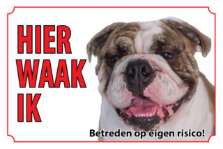 Waakbord Hond Engelse Bulldog