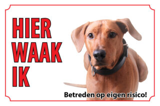 Waakbord Hond Rhodesian Ridgeback