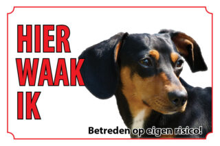 Waakbord Hond Dashond Tekkel
