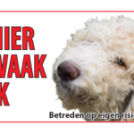 Waakbord-Labradoodle-wit