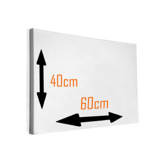 Foto op Canvas – formaat 38mm - liggend – 40x60cm