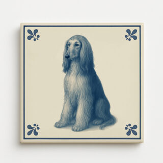 tegel_15x15_Afghaanse windhond-tegeltje_voorkant
