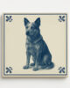 tegeltje 15x15cm Australische-veedrijvershond voorkant