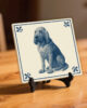 tegel_15x15_Bloedhond Sint-Hubertushond-tegeltje_preview_op_standaard