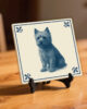 tegel_15x15_Cairnterrier-tegeltje_preview_op_standaard tegel_15x15_Cairnterrier-tegeltje_preview_op_standaard