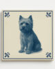 tegel_15x15_Cairnterrier-tegeltje_voorkant tegel_15x15_Cairnterrier-tegeltje_voorkant
