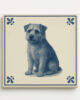tegel_15x15_Norfolk terrier-tegeltje_voorkant