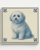 tegel_15x15_coton_de_tulear-tegeltje_voorkant